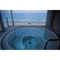 Переливной круглый спа бассейн USSPA Polo